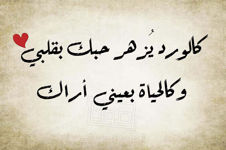 عِبارات في الحُب