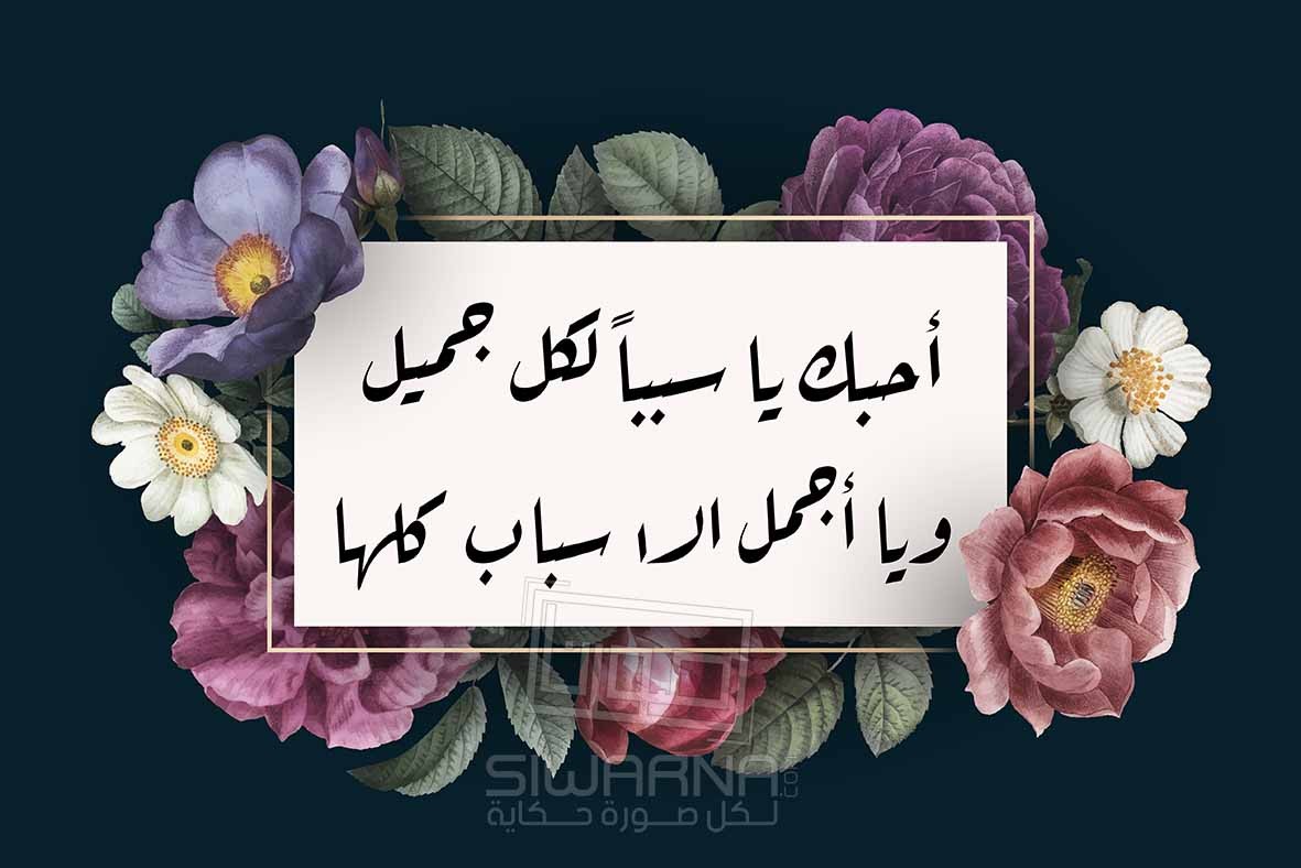 عِبارات في الحُب